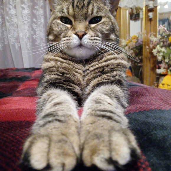 Meet your Posher, Jill - Picture 5 of 7